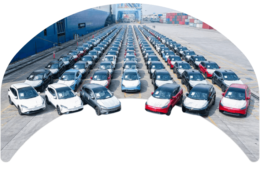 Customs clearance of Chinese electric cars in Europe 